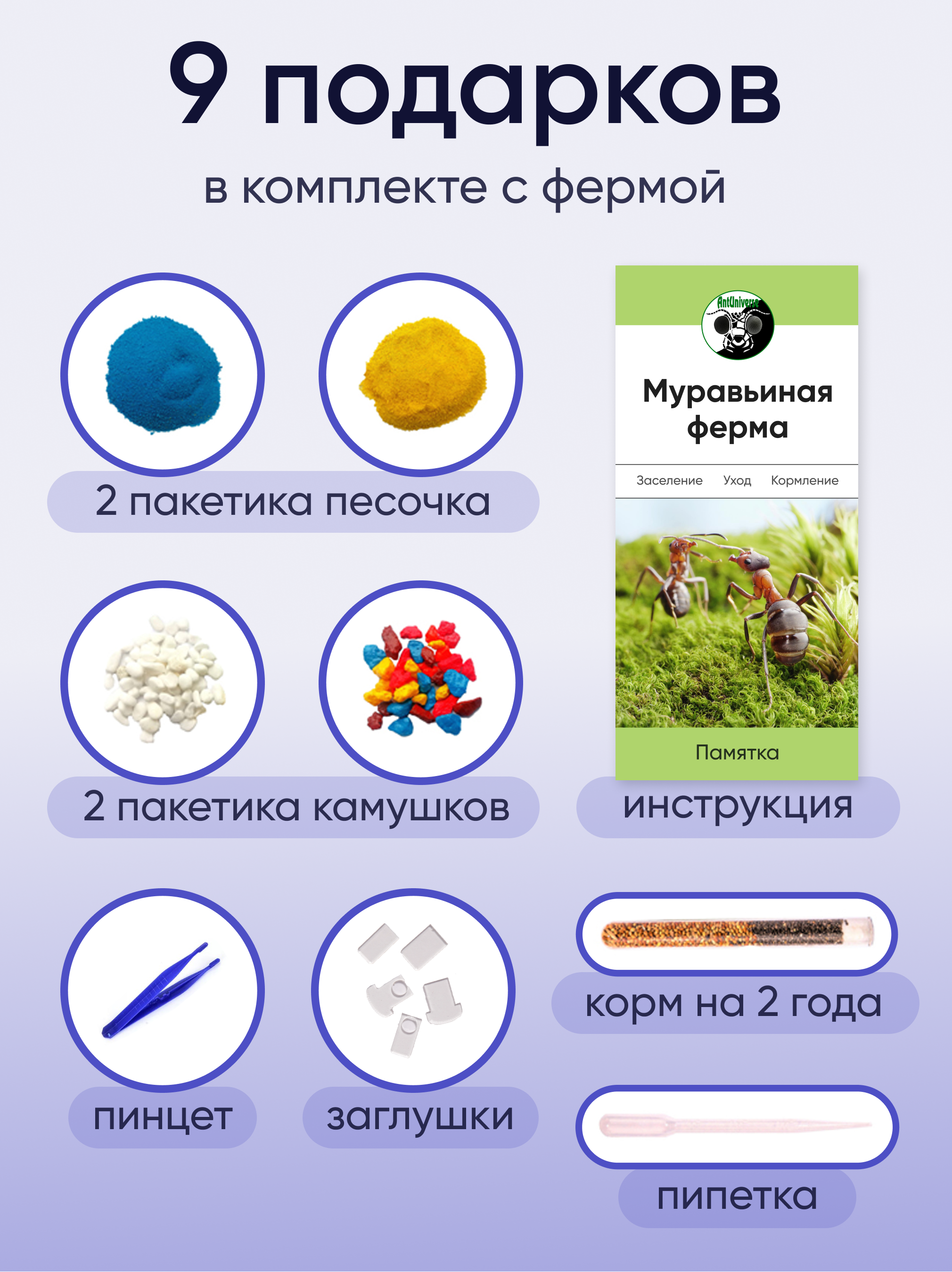 Комплект муравьиной фермы с муравьями Maxi 