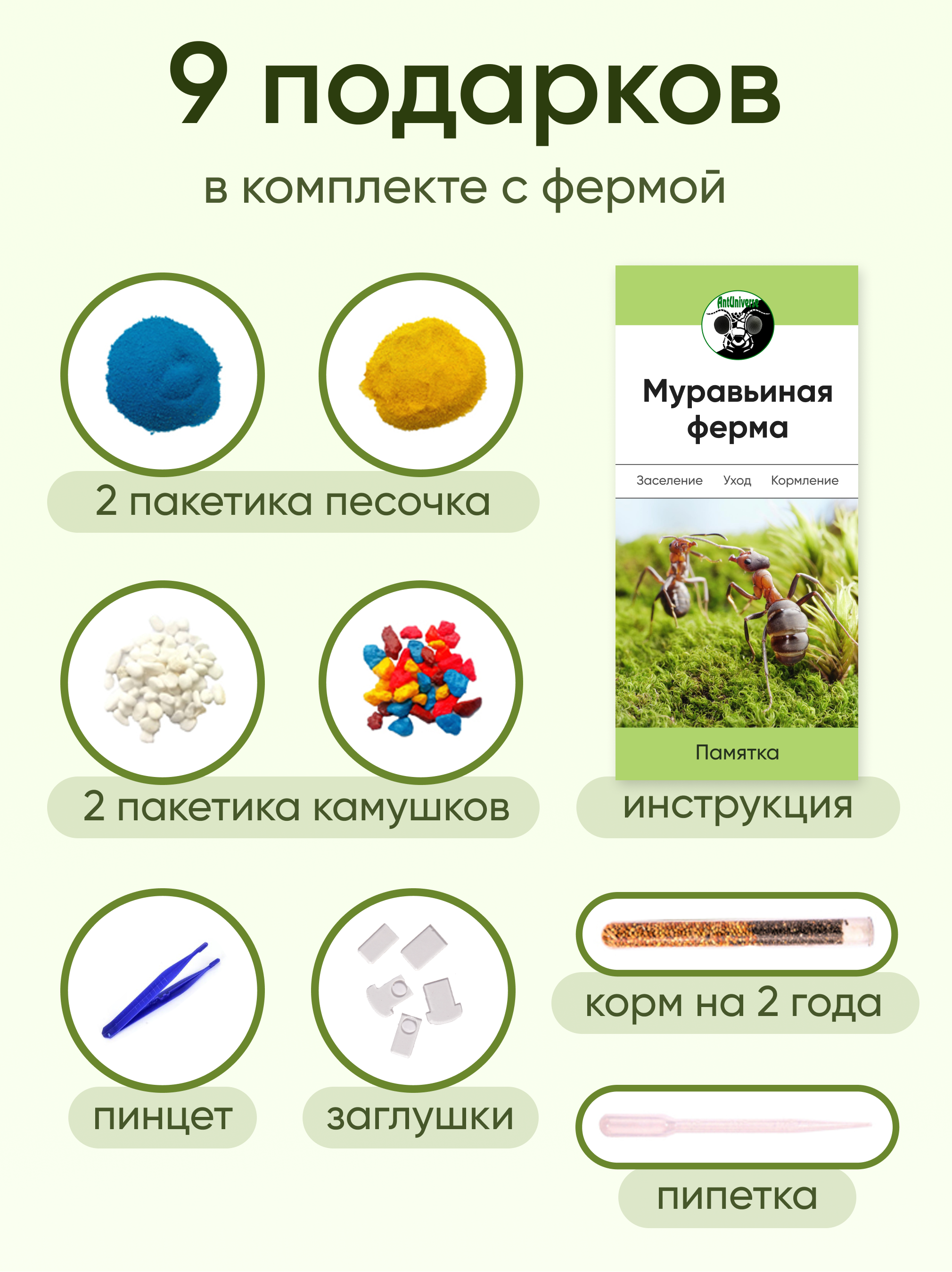 Комплект муравьиной фермы с муравьями Maxi 